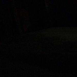 Meet your Posher, Autumn